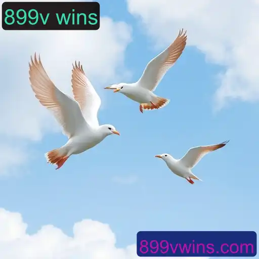 O Fascinante Mundo do Sabong Online: A Ascensão do 899v Wins